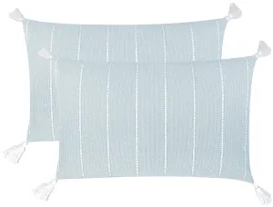 Cushion Cotton Light Blue Stripe