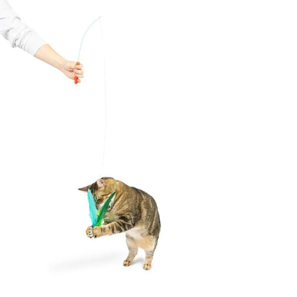 Huxley & Kent Kitty Klaw Lime Teasers 2pk Cat Wand Refill Cat Toy