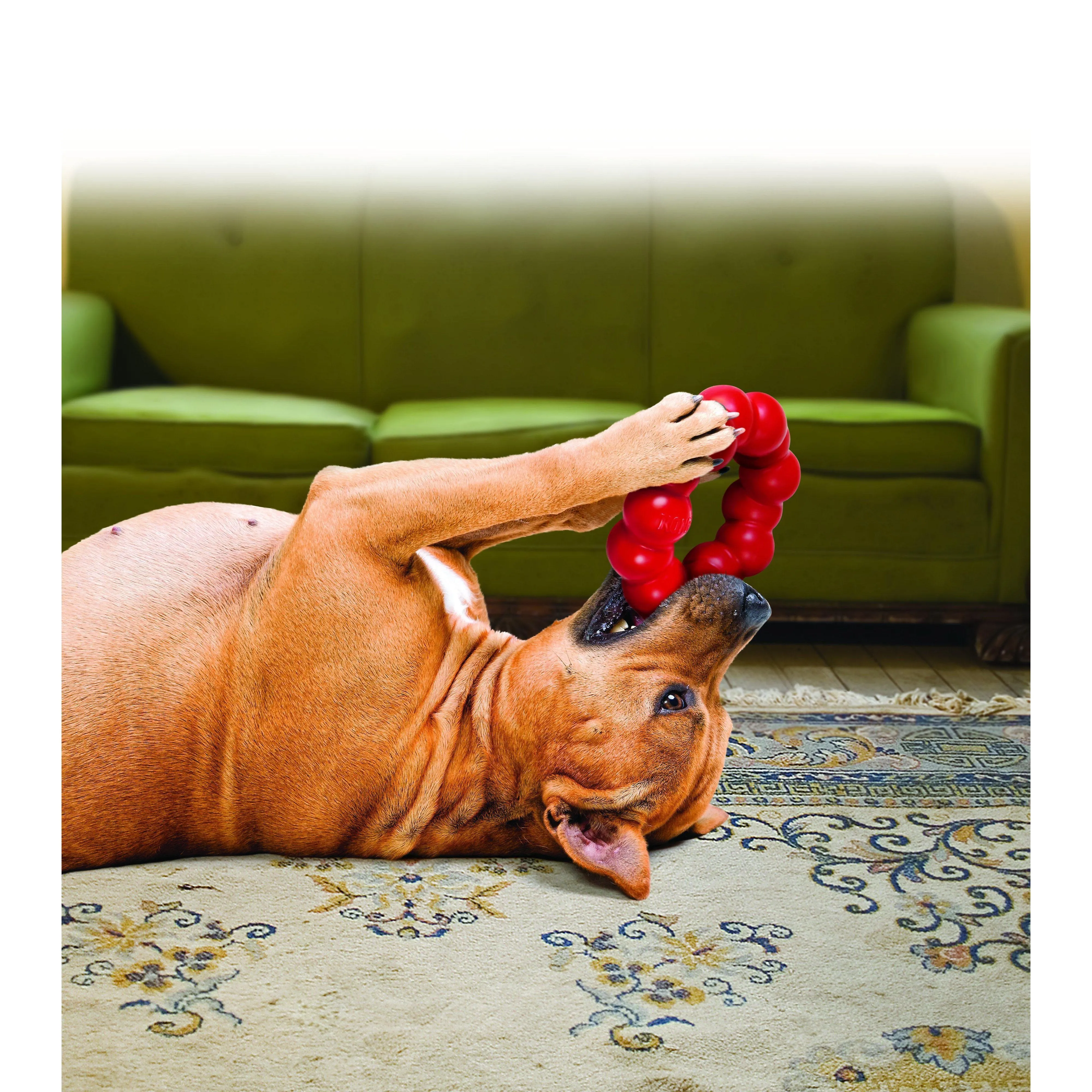 KONG Ring Medium/Large Dog Toy^^^