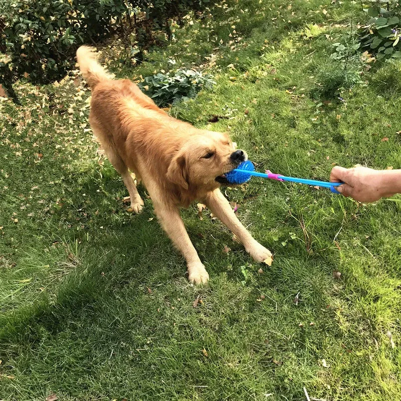 New New Arrival Pet Toy Interactive Acanthosphere with Elastic Rope Ball Molar Dog Toy Training Pet Supplies