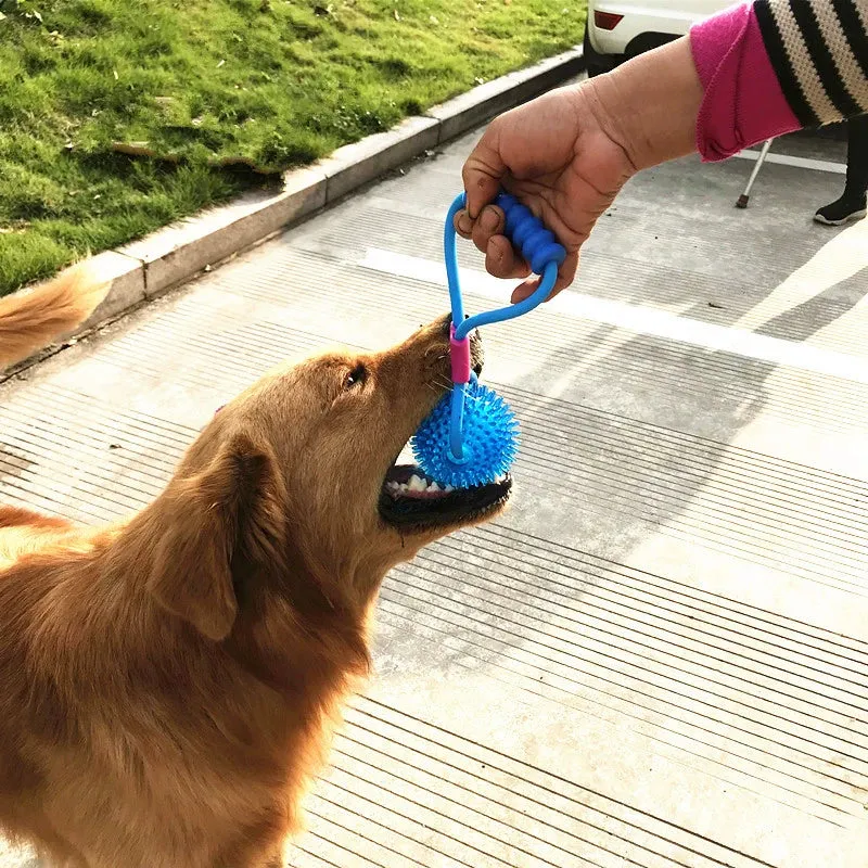 New New Arrival Pet Toy Interactive Acanthosphere with Elastic Rope Ball Molar Dog Toy Training Pet Supplies