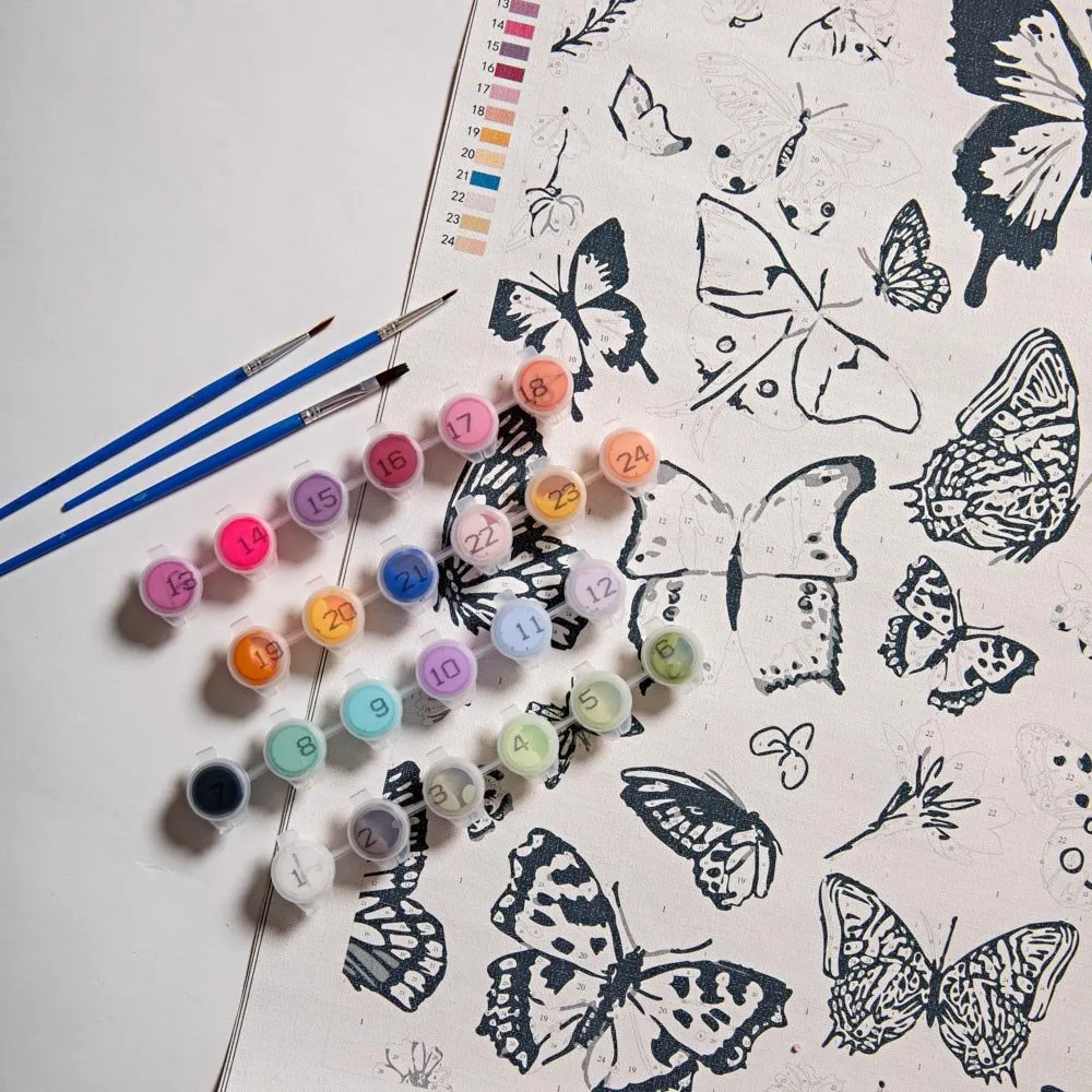 Paint by Numbers - Butterfly Garden