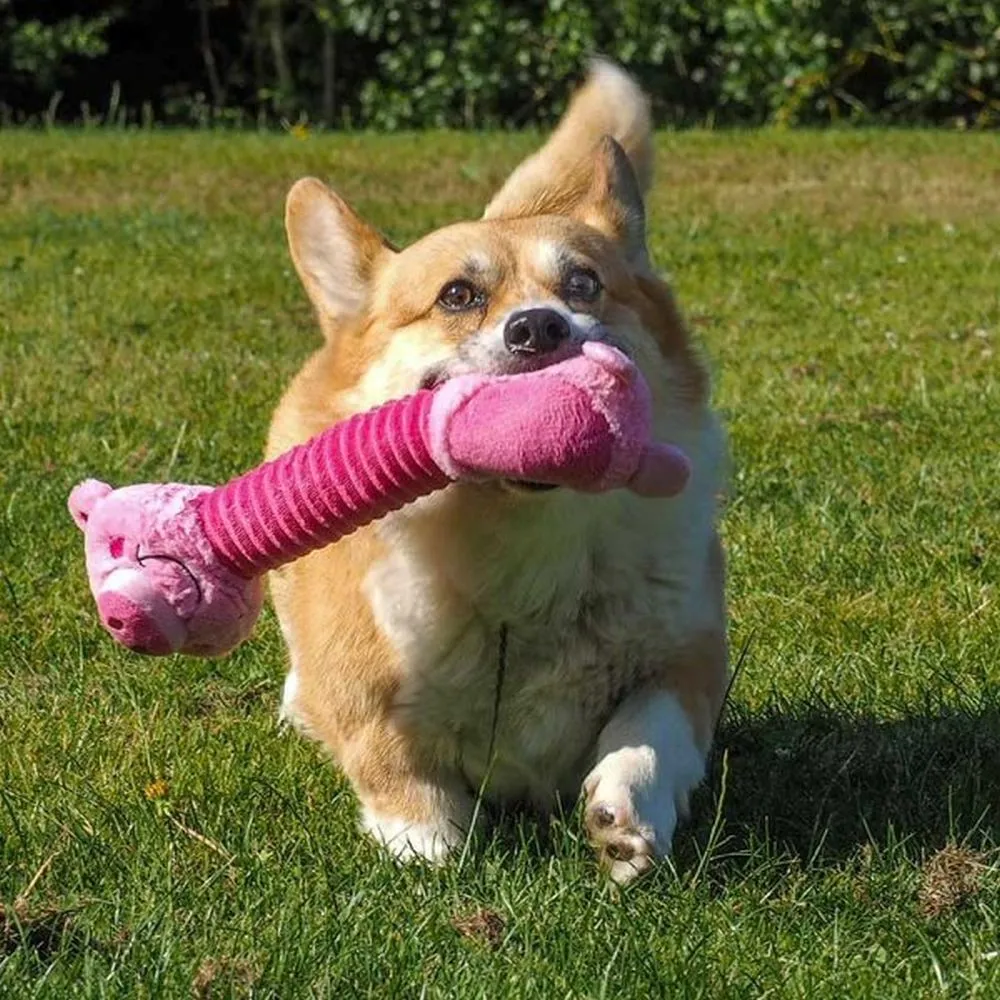 Zoon Necky Pig Toy